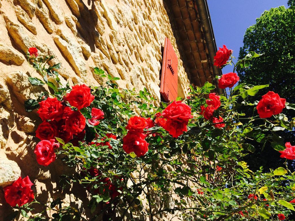 Le Mas De Cocagne En Provence Malaucène Dış mekan fotoğraf
