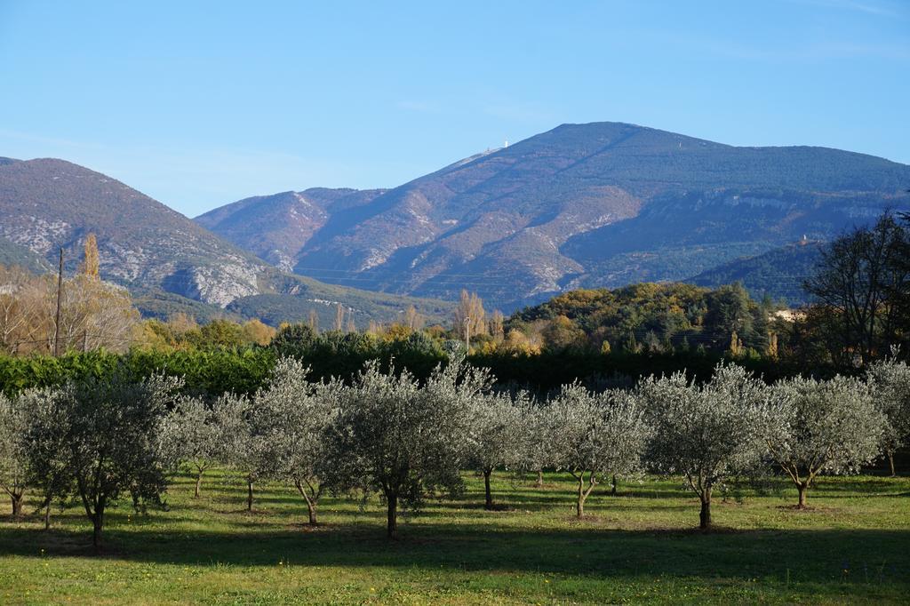 Le Mas De Cocagne En Provence Malaucène Dış mekan fotoğraf