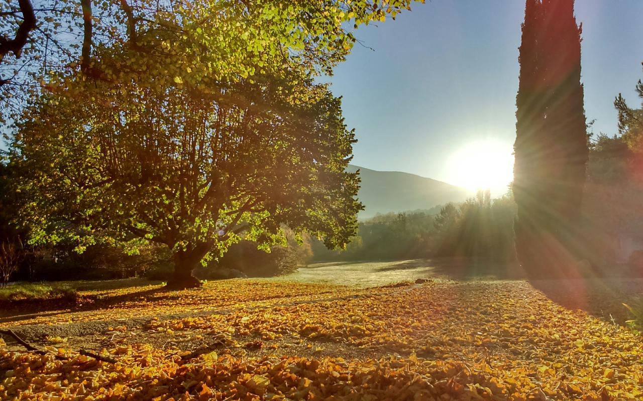 Le Mas De Cocagne En Provence Malaucène Dış mekan fotoğraf