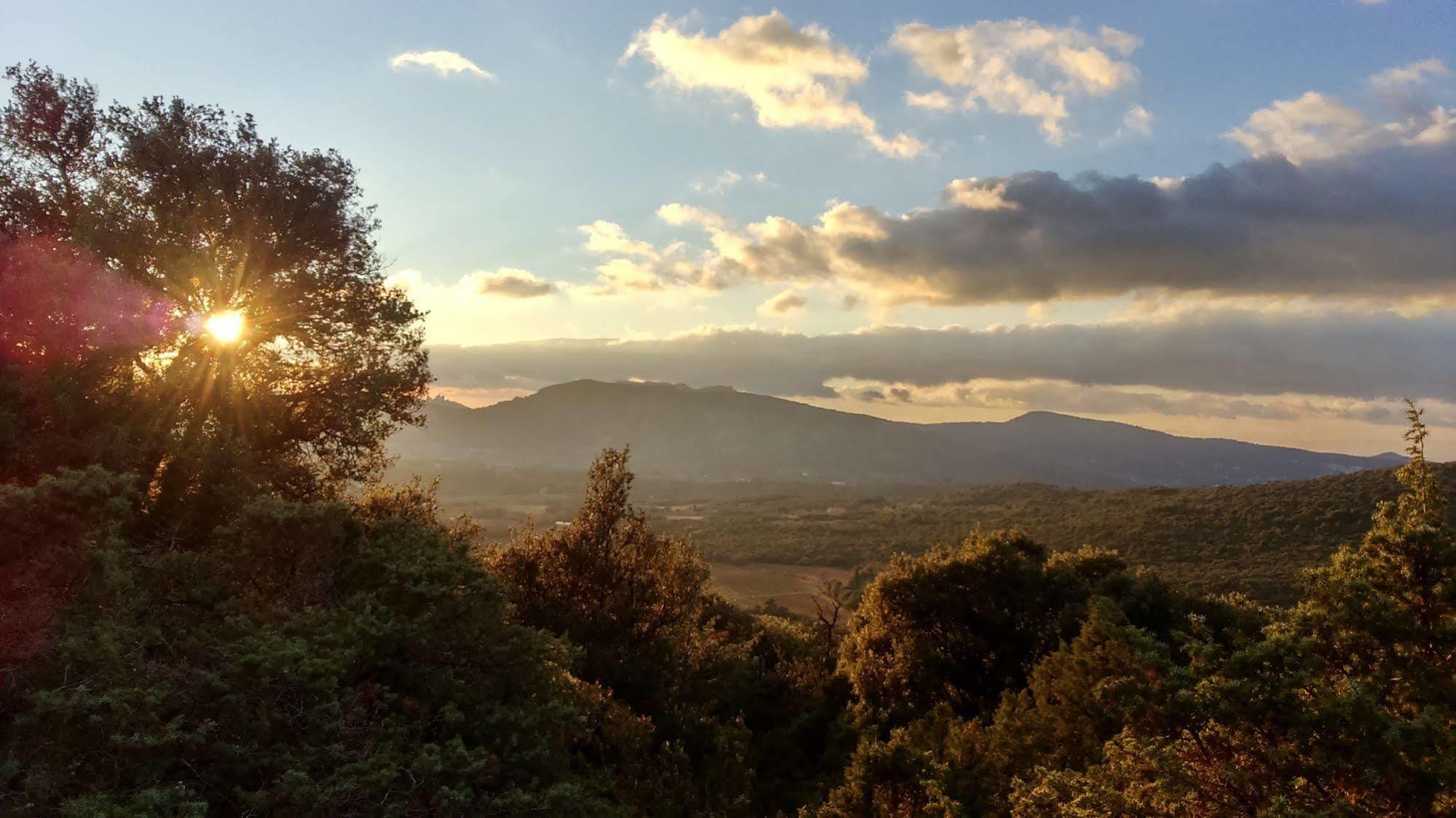 Le Mas De Cocagne En Provence Malaucène Dış mekan fotoğraf