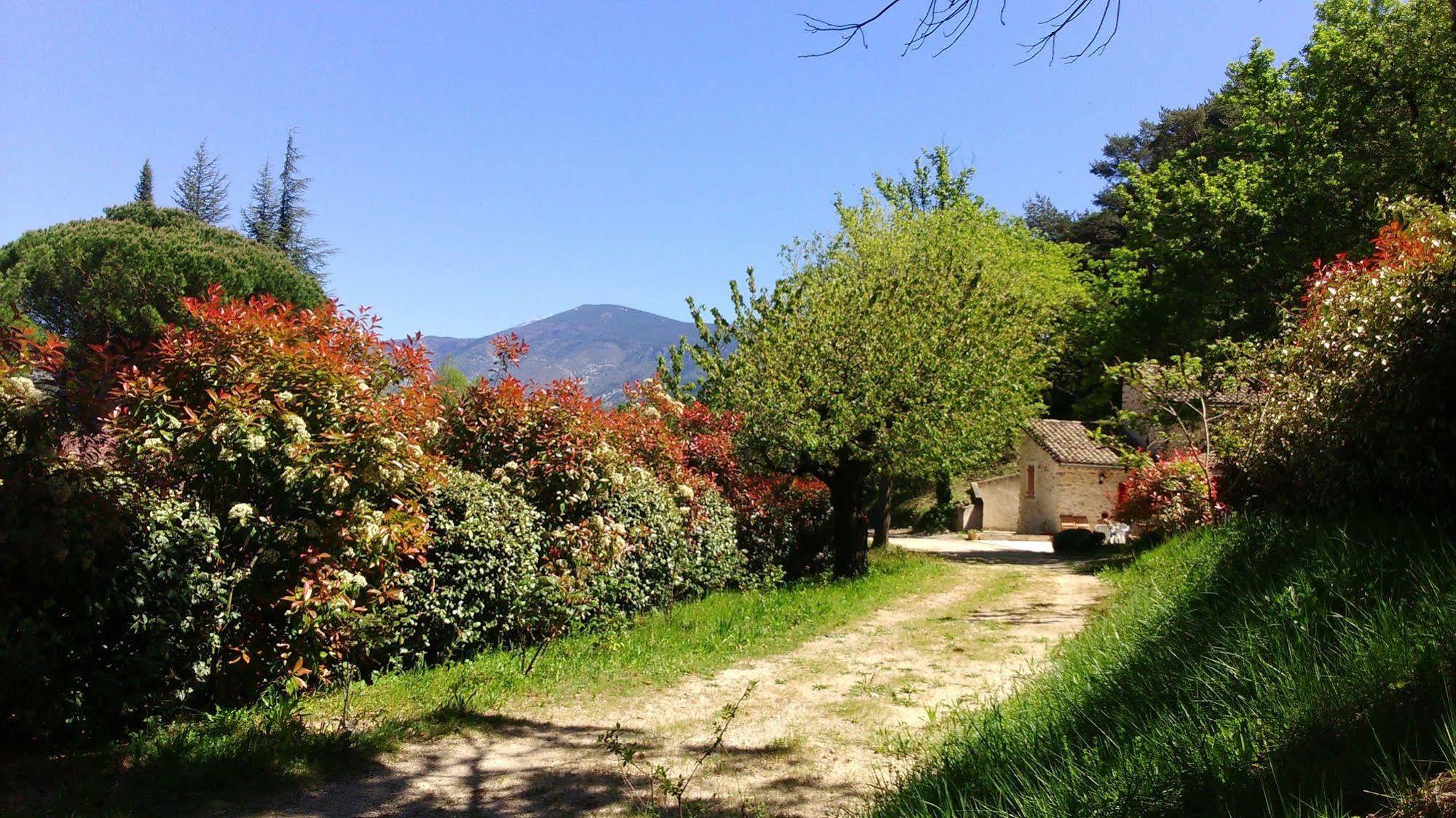 Le Mas De Cocagne En Provence Malaucène Dış mekan fotoğraf