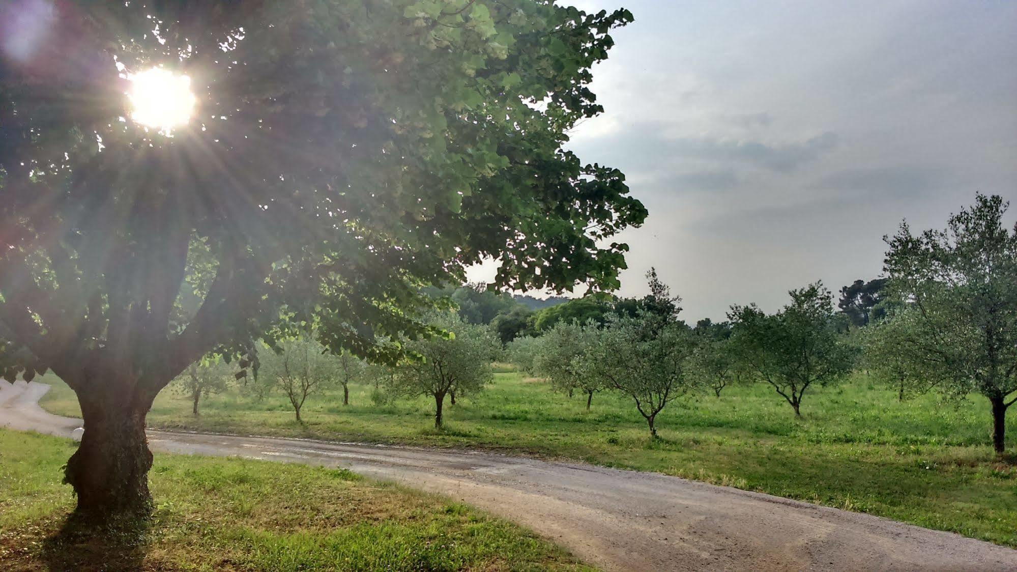 Le Mas De Cocagne En Provence Malaucène Dış mekan fotoğraf